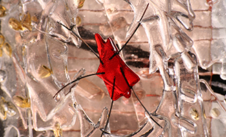 a detail of a page. red glass suspended by wires in clear glass